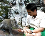 Indonesia